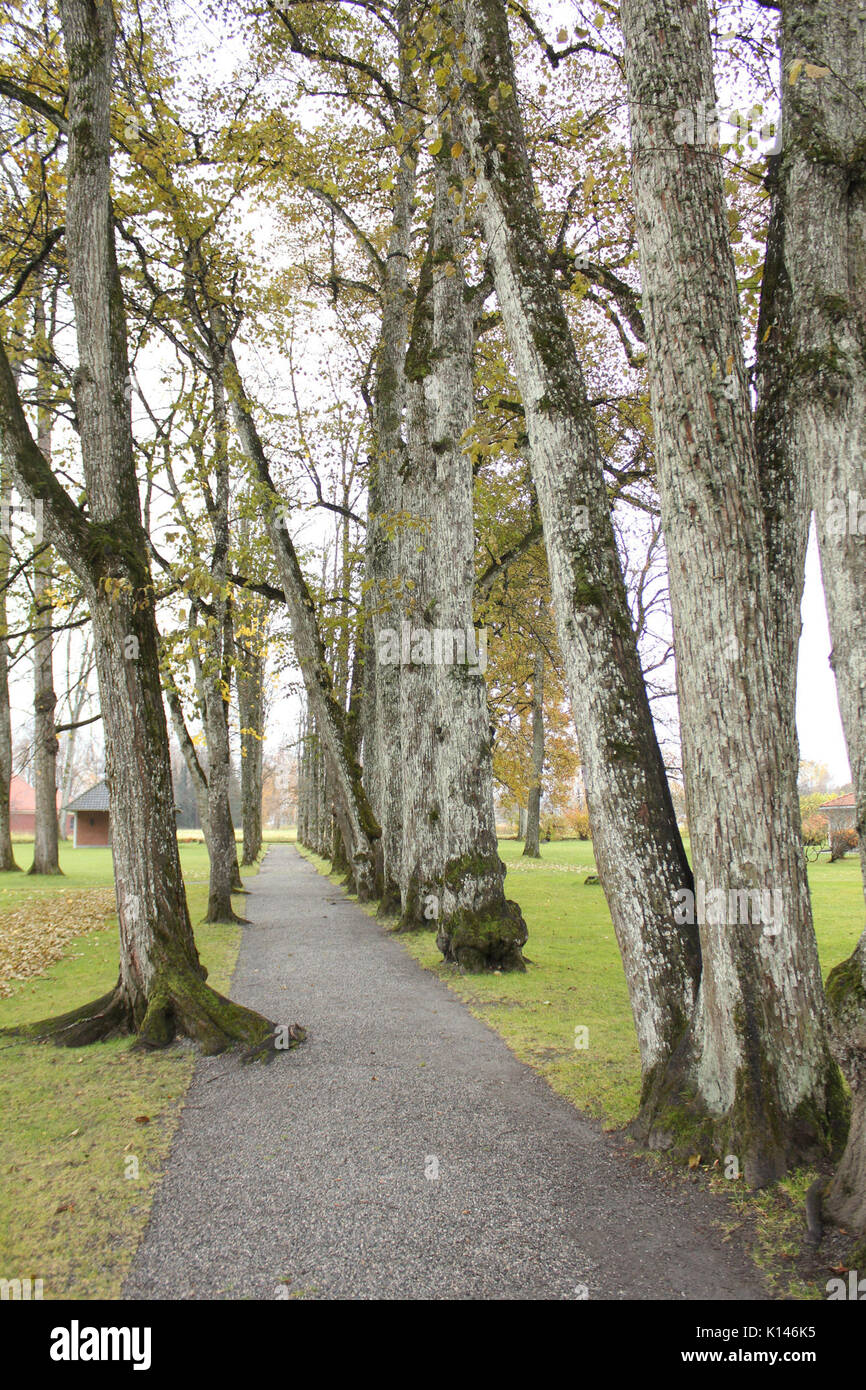 Alley at Eidsvoll Verk, Akershus, Norway Stock Photo