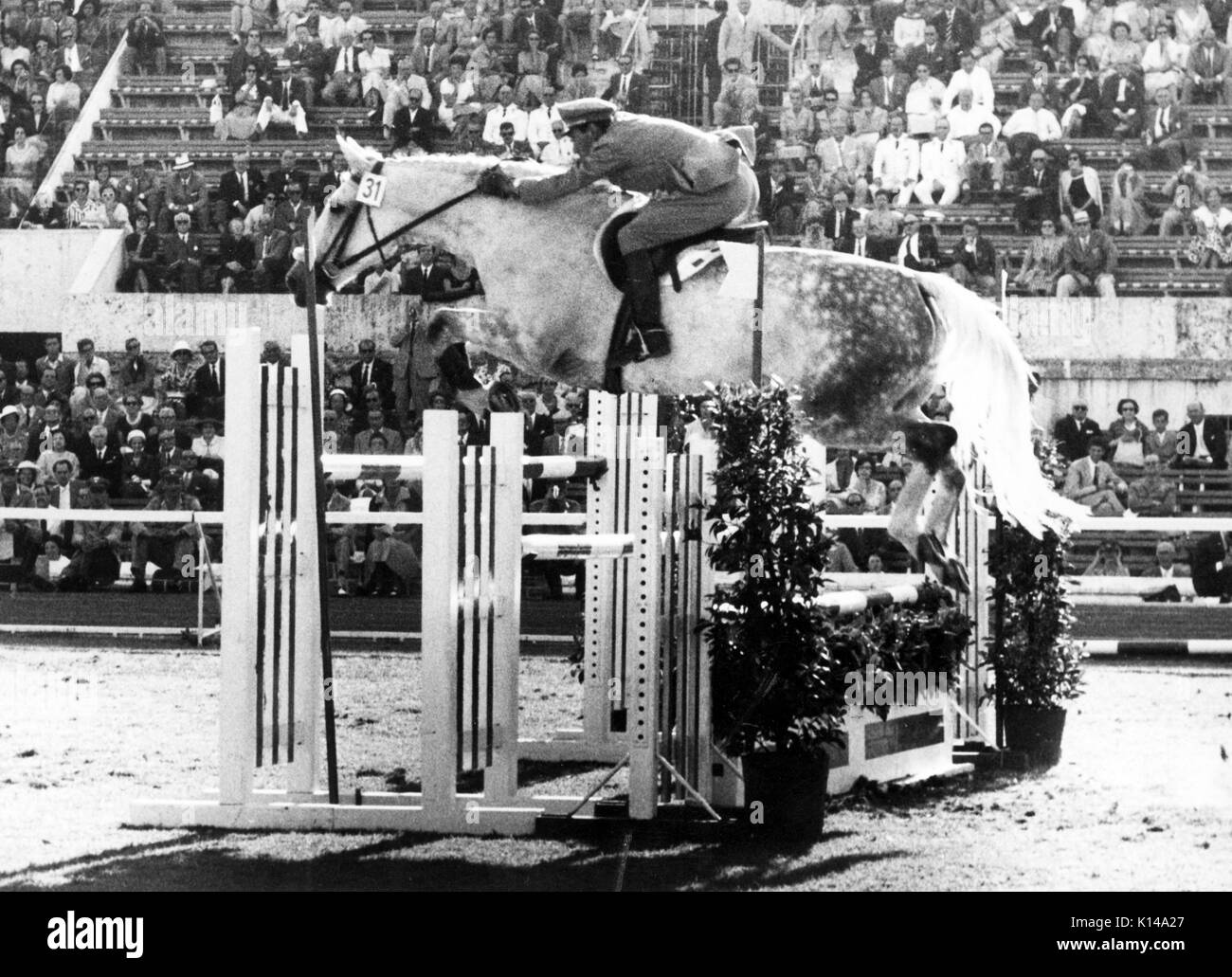 Olympic Games Rome 1960 Pierro d'Inzeo, Italy riding The Rock to the Silver medal (behind his brother Raimondo the gold medallist) Stock Photo