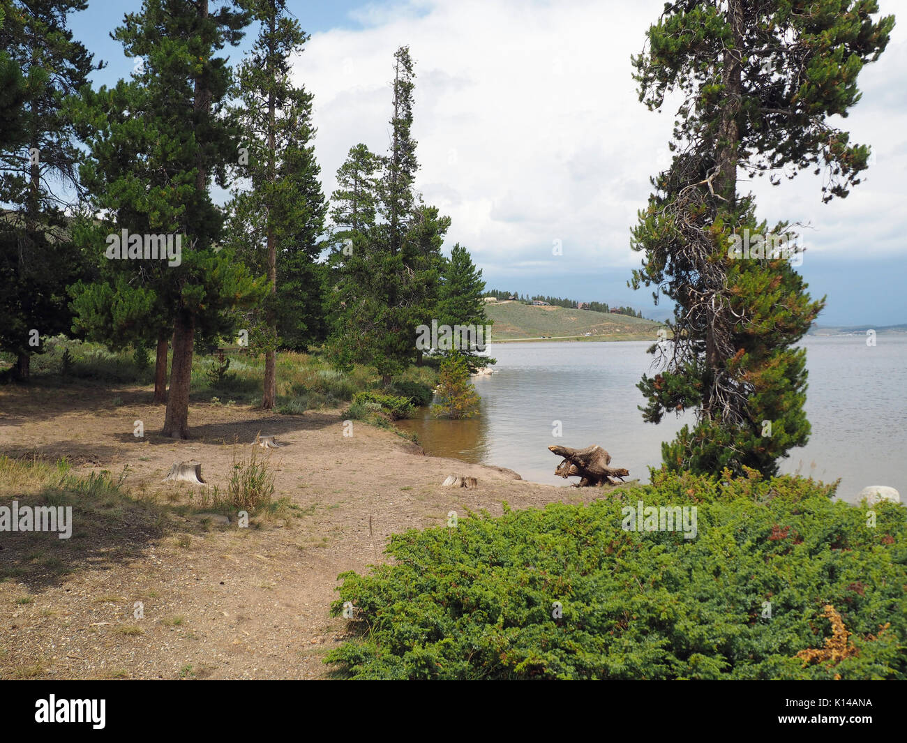 A small clearing by the Granby Lake in Colorado.  There are evergreen trees by the calm water.  The sky overhead is bright blue with white puffy cloud Stock Photo