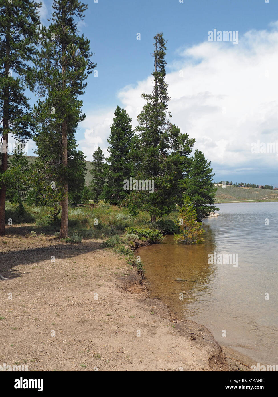 A small clearing by the Granby Lake in Colorado.  There are evergreen trees.  The sky overhead is bright blue with white puffy clouds. Stock Photo