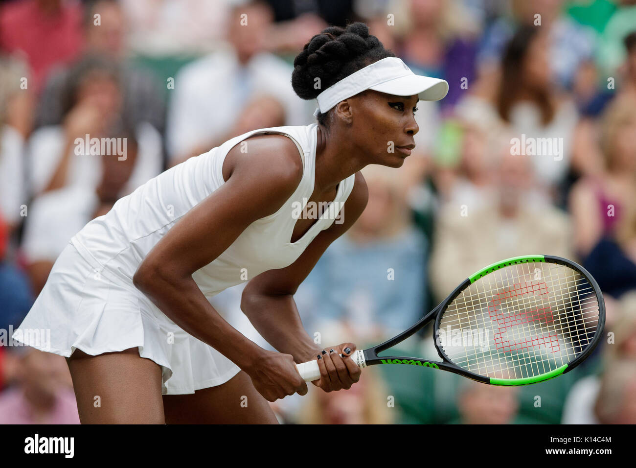 Venus Williams of the USA at the Wimbledon Championships 2017 Stock Photo