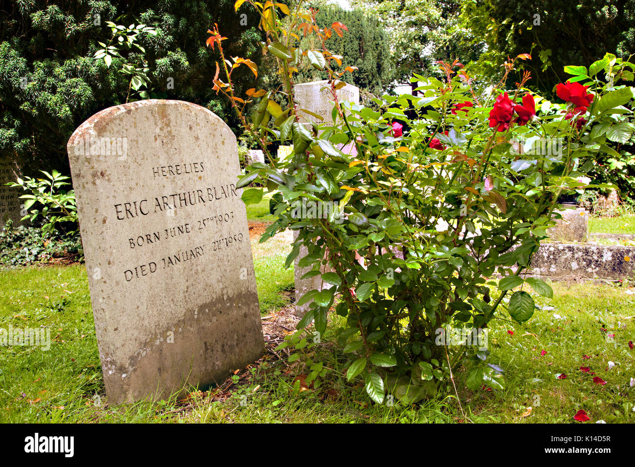 The grave of Eric Arthur Blair, better known as the author George Orwell, in the churchyard at All Saints church Sutton Courtenay Oxfordshire England Stock Photo