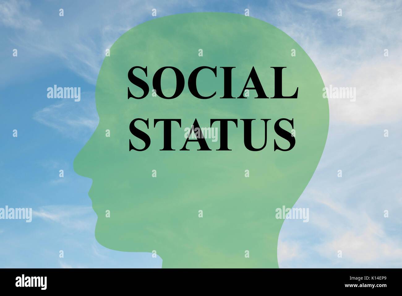 Render illustration of "SOCIAL STATUS" script on head silhouette, with