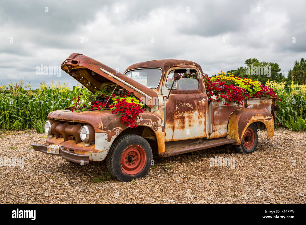 The Parkside Pioneer Patch exhibit of old implements and vehicles with flowers at Winkler, Manitoba, Canada. Stock Photo