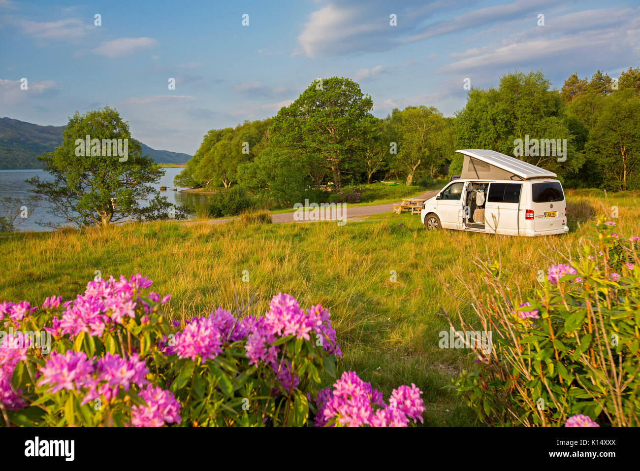 Campervan beside Loch Morar in colourful landscape with wild rhododendrons flowering & woodlands spilling down to blue water of loch in Scotland Stock Photo