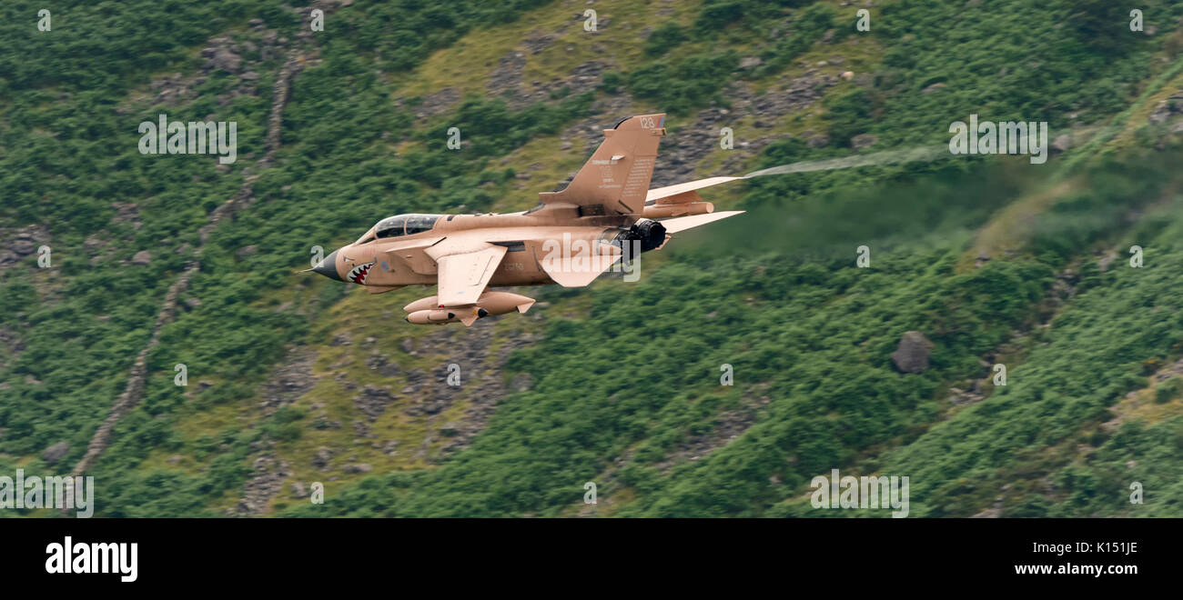 RAF Tornado GR4 on a low level flying sortie in the Mach Loop LFA7 in Operation Granby colour scheme. Hence the aircraft identified as 'Pinky'.  Schem Stock Photo