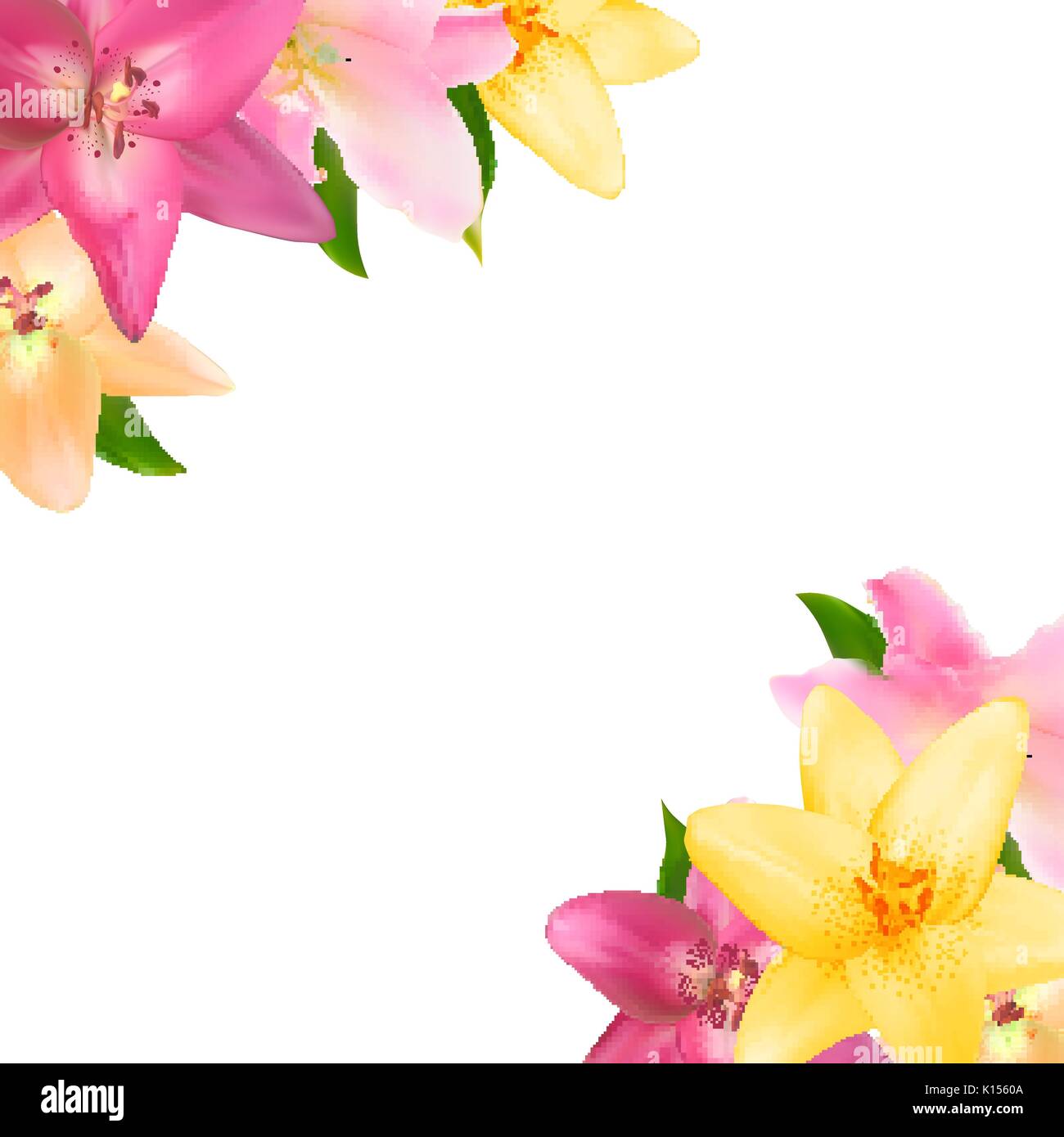 Vector Illustration with Lily Flowers Isolated on White Backgro Stock ...