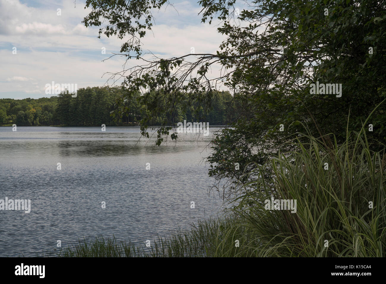 Fawn Lake in Hawley, Pennsylvania, a motor free quiet environment Stock