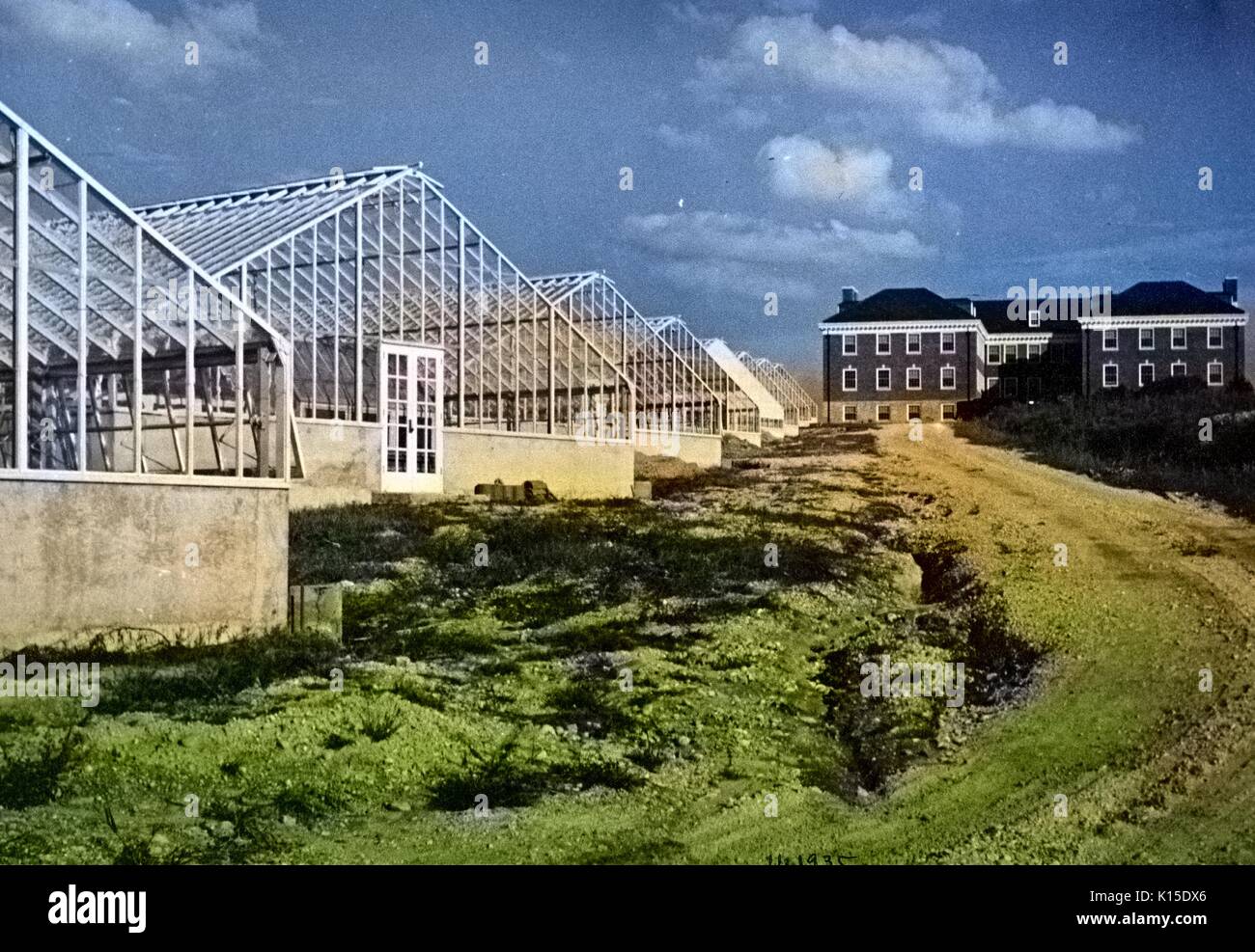 Greenhouses and section of the Horticultural Administration Building at