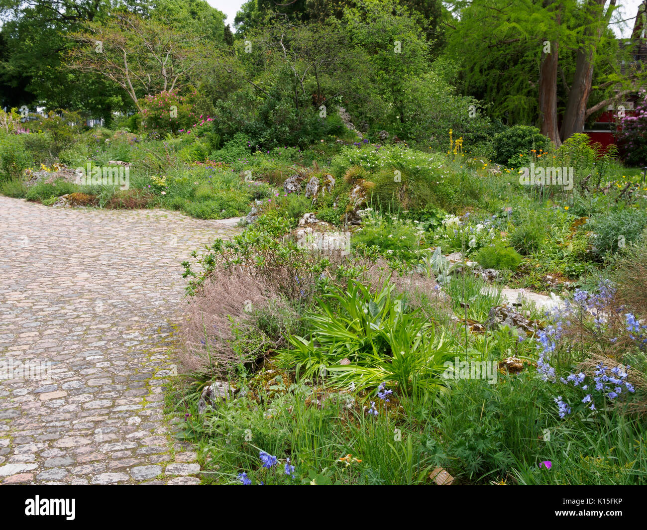 Basel Botanical Garden, Switzerland Stock Photo - Alamy