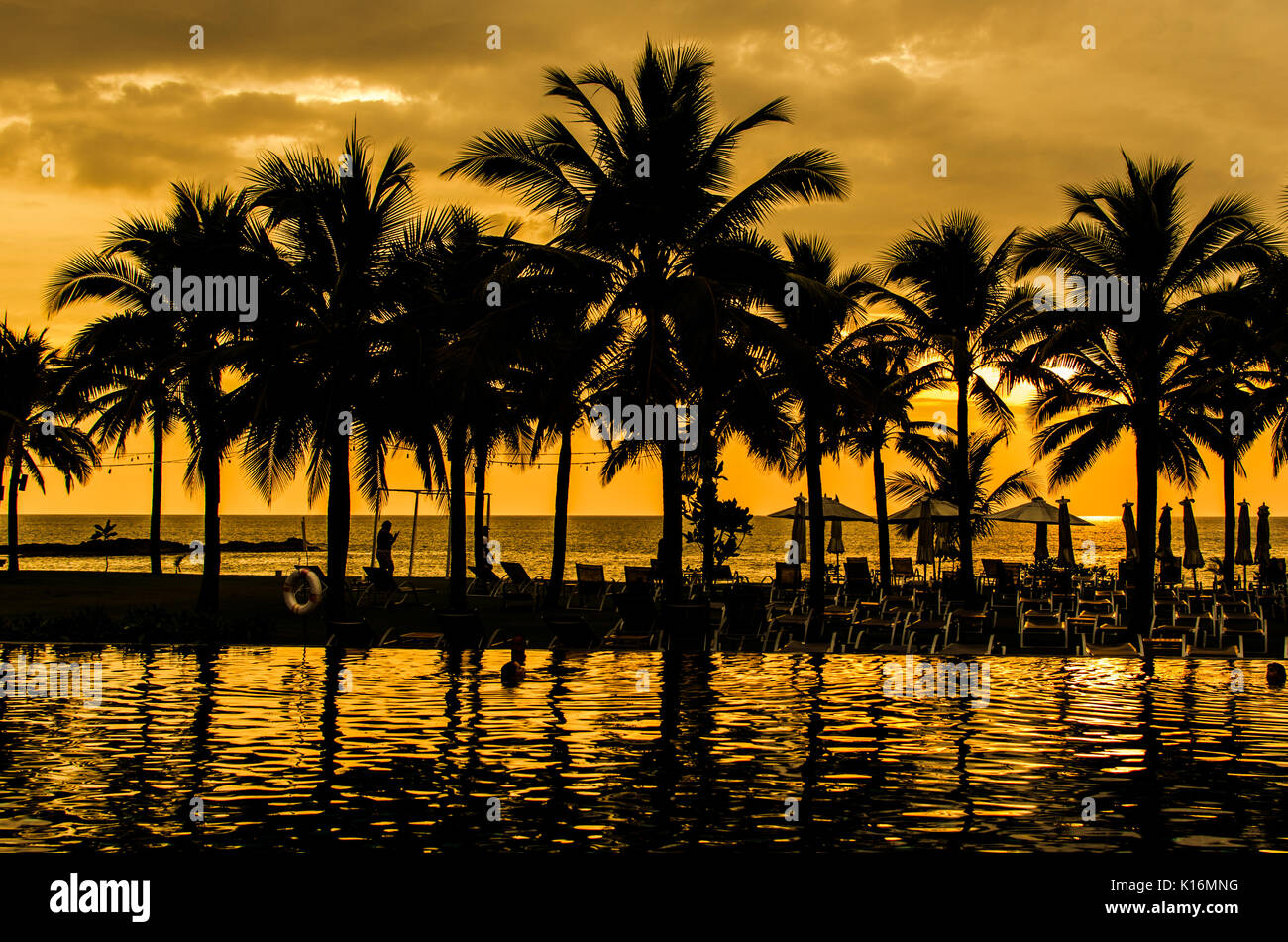 Palm trees silhouettes on tropical beach at summer Stock Photo - Alamy