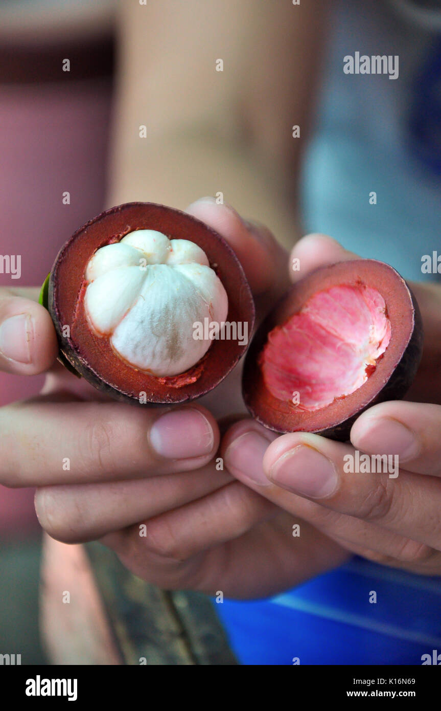Purple mangosteen fruit exterior and in crosssection Stock Photo Alamy