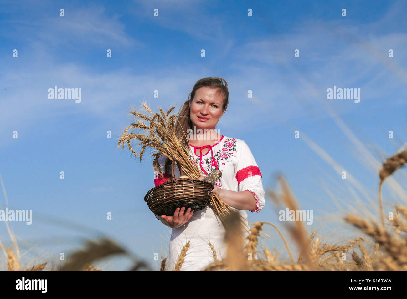 Young attractive woman in beatiful natural dress walking with basket with bread in the golden wheat field during the sunshine. Stock Photo