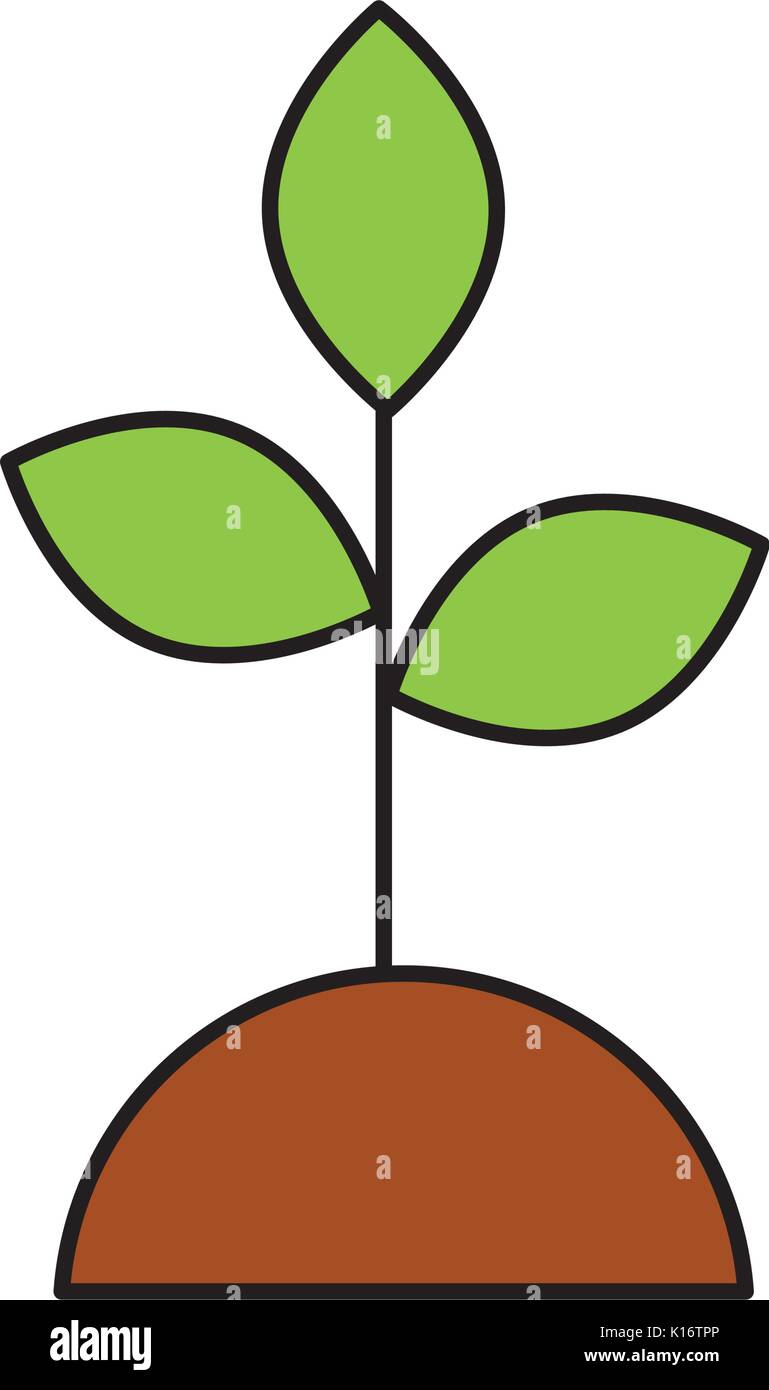 ecology plant isolated icon Stock Vector Image & Art - Alamy