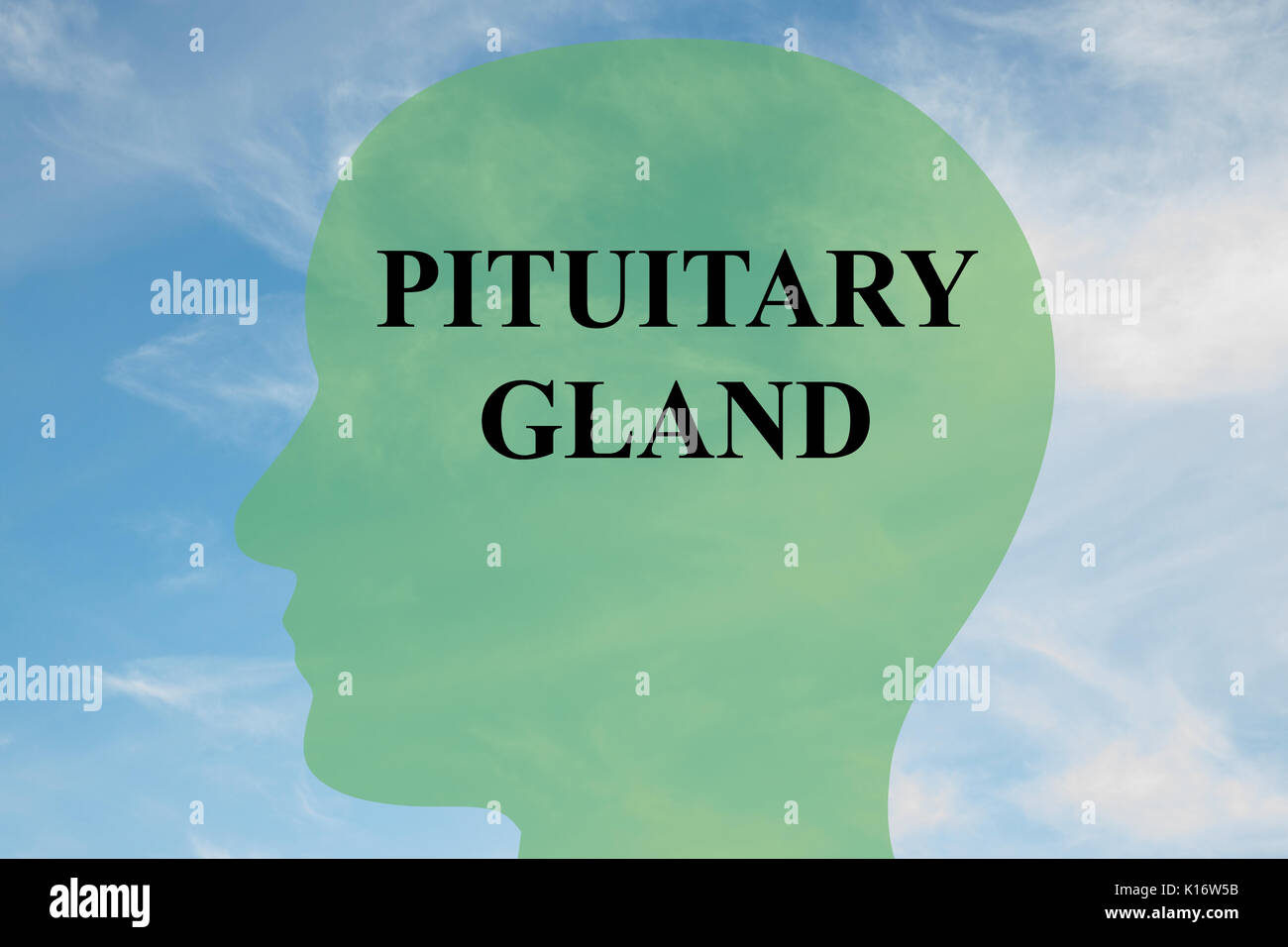 Render illustration of 'PITUITARY GLAND' script on head silhouette, with cloudy sky as a background. Stock Photo