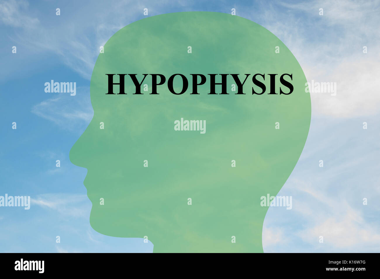 Render illustration of 'HYPOPHYSIS' script on head silhouette, with cloudy sky as a background. Stock Photo