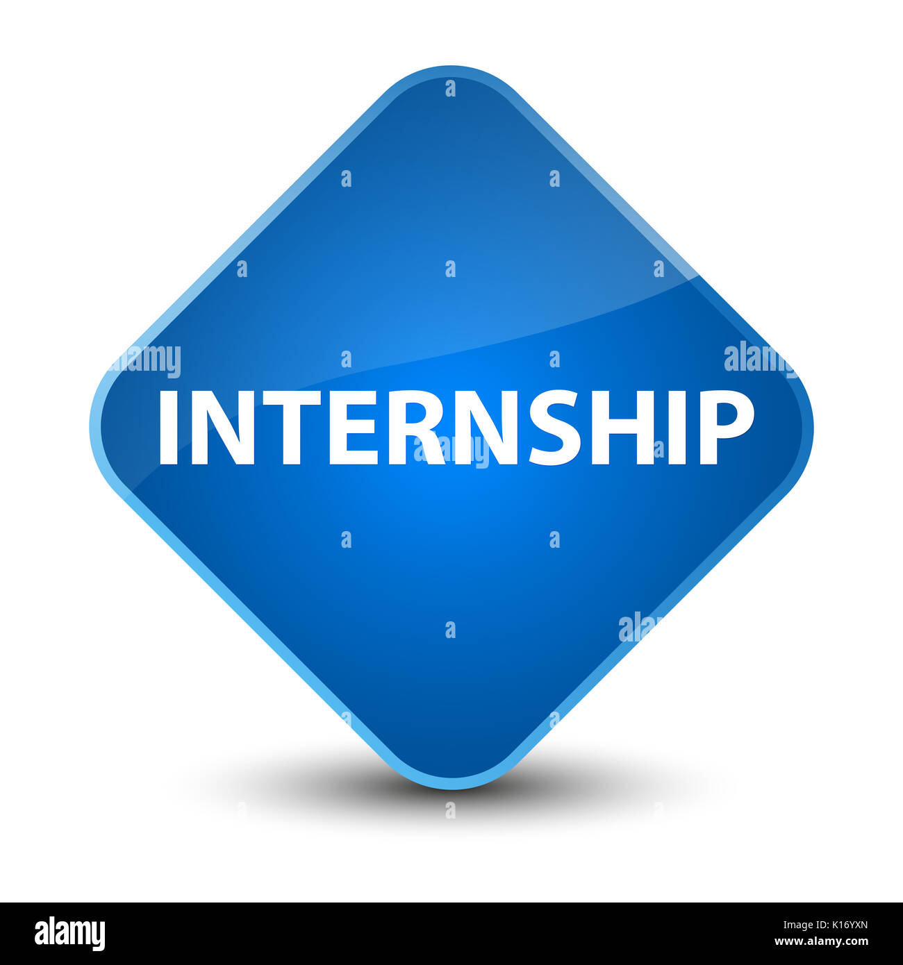 Internship Opportunities Skyrocket by 200% in India Over the Past 5 Years:  Survey Reveals 2024 Trends - PUNE.NEWS