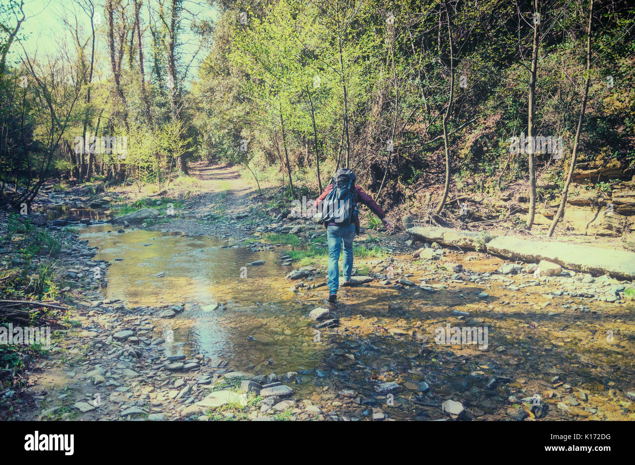 Travelers in the forest cross the stream Stock Photo - Alamy