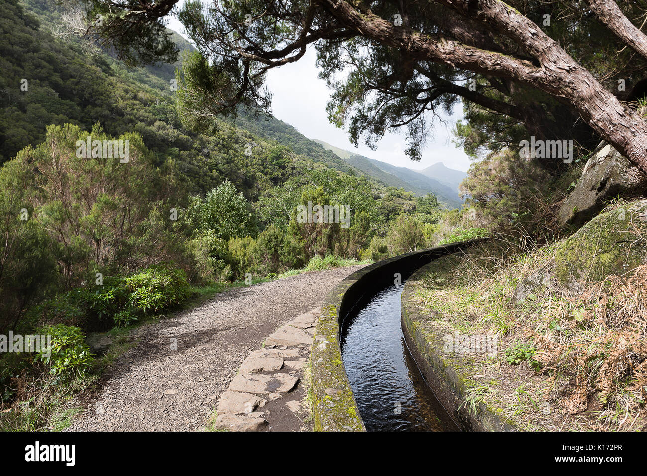 Levada das 25 Fontes (25 fountains), Rabacal, Madeira Island, Portugal Stock Photo