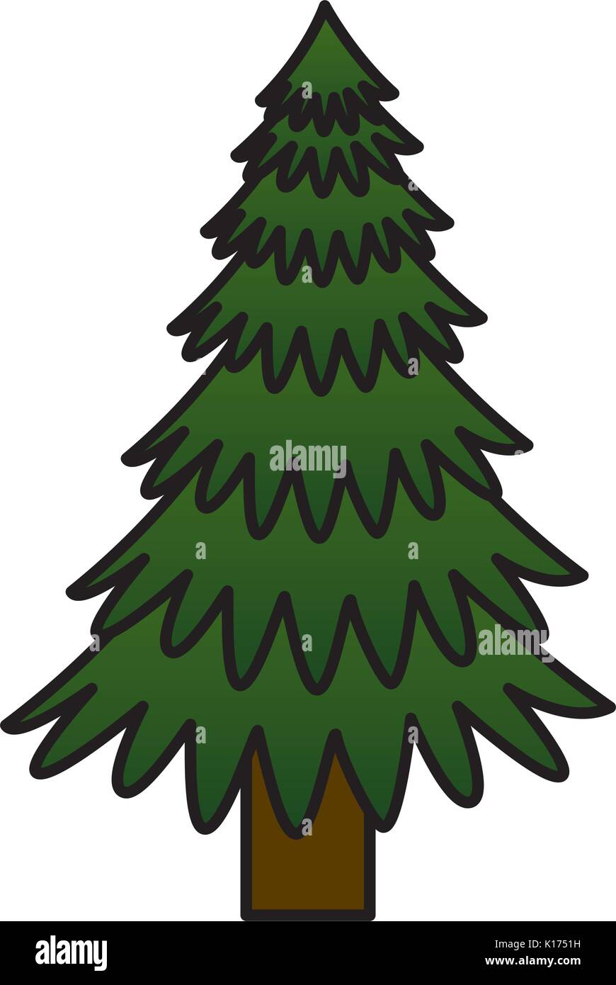 pine tree isolated icon Stock Vector Image & Art - Alamy