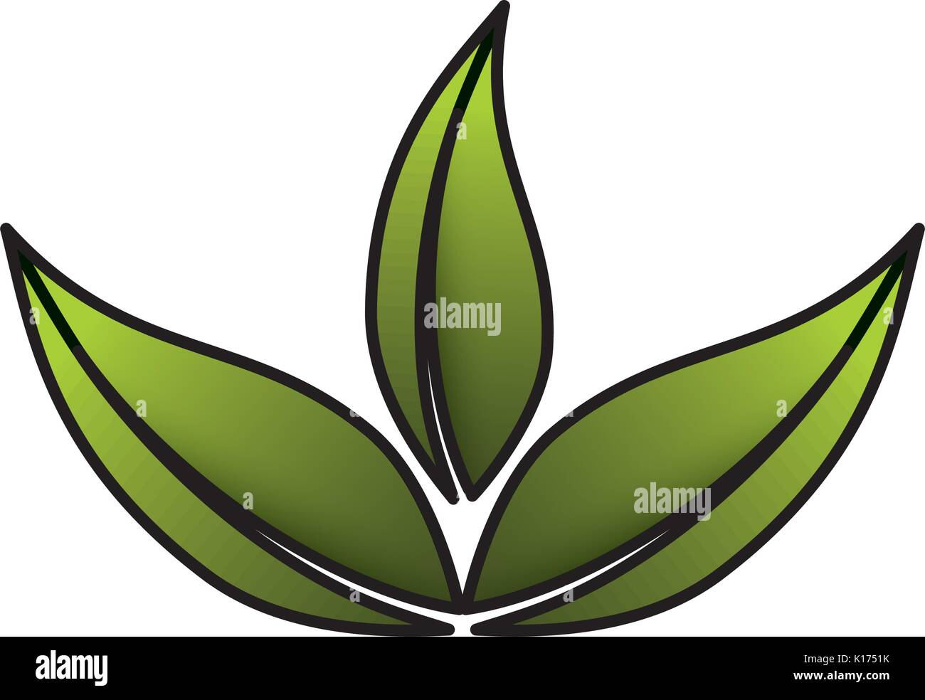 leaf plant ecology icon Stock Vector Image & Art - Alamy