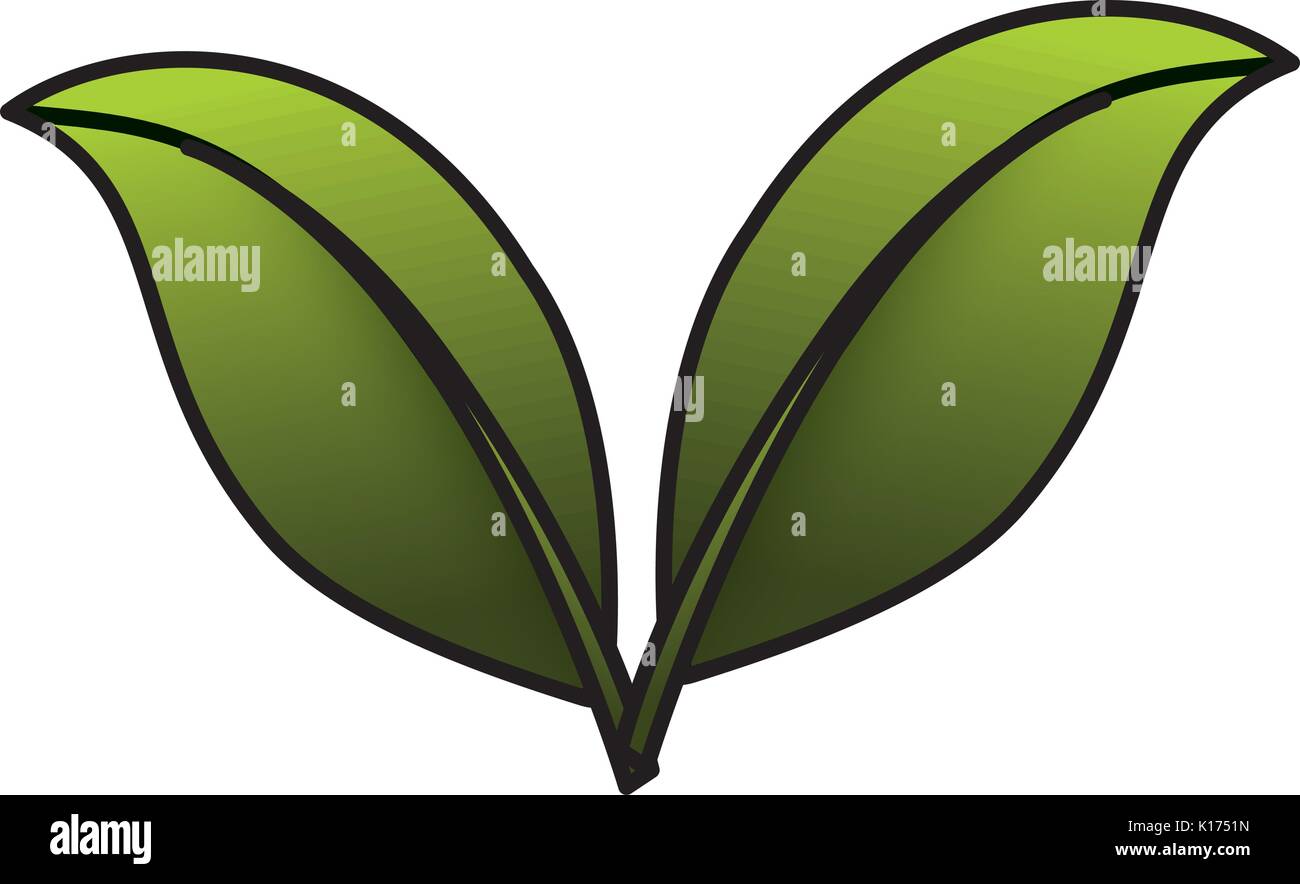 leaf plant ecology icon Stock Vector Image & Art - Alamy
