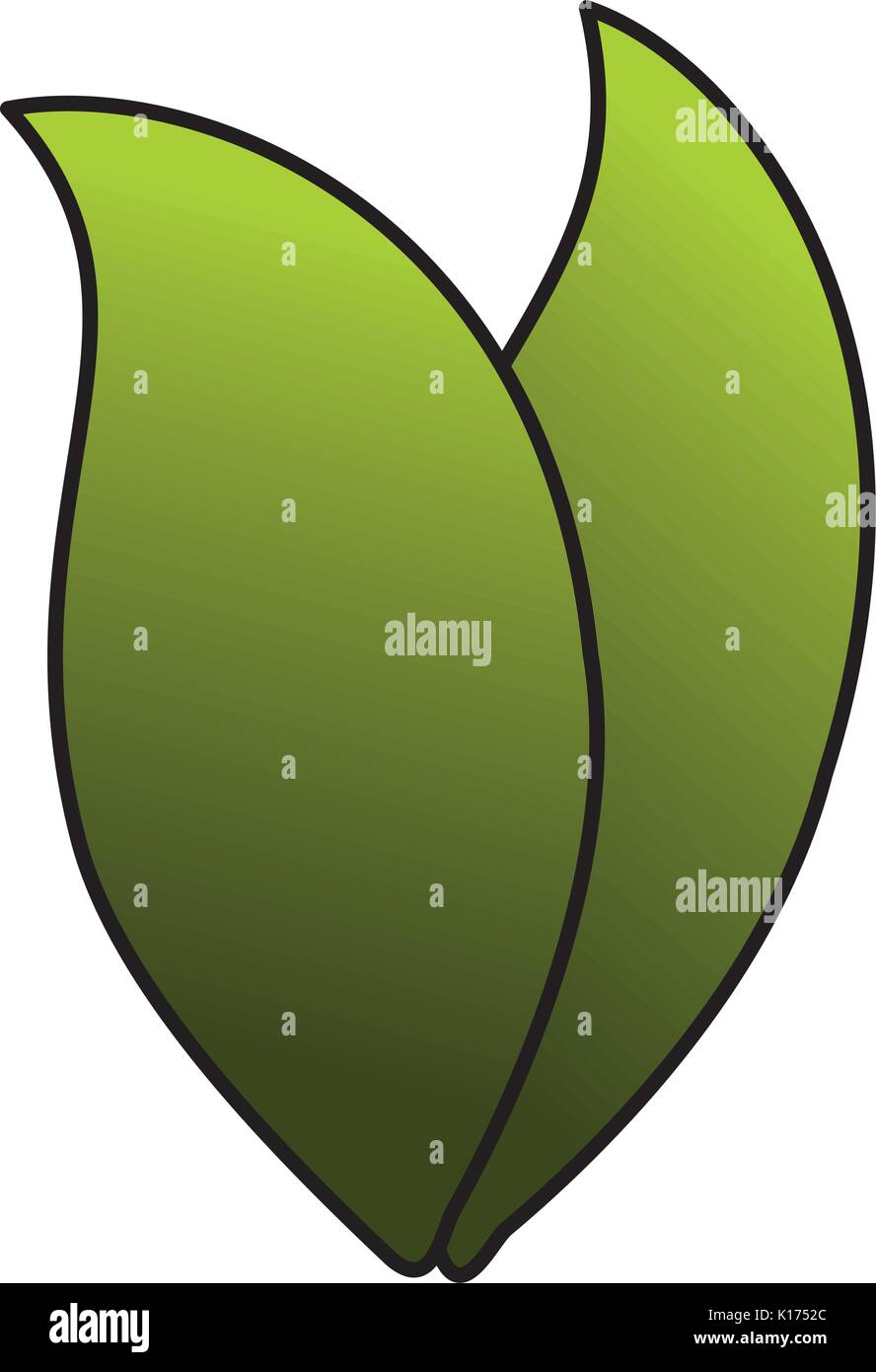 leaf plant ecology icon Stock Vector Image & Art - Alamy