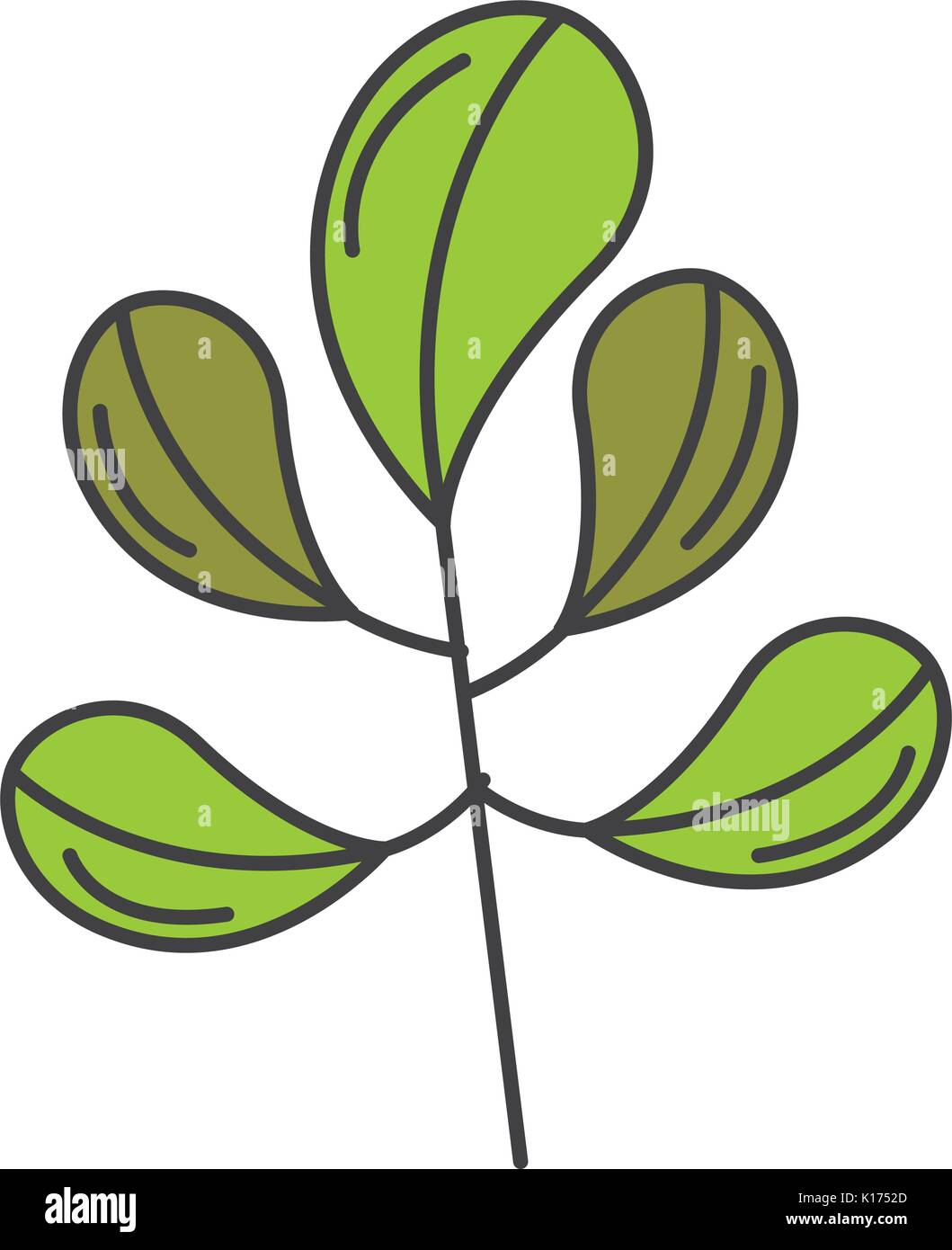 leaf plant ecology icon Stock Vector Image & Art - Alamy