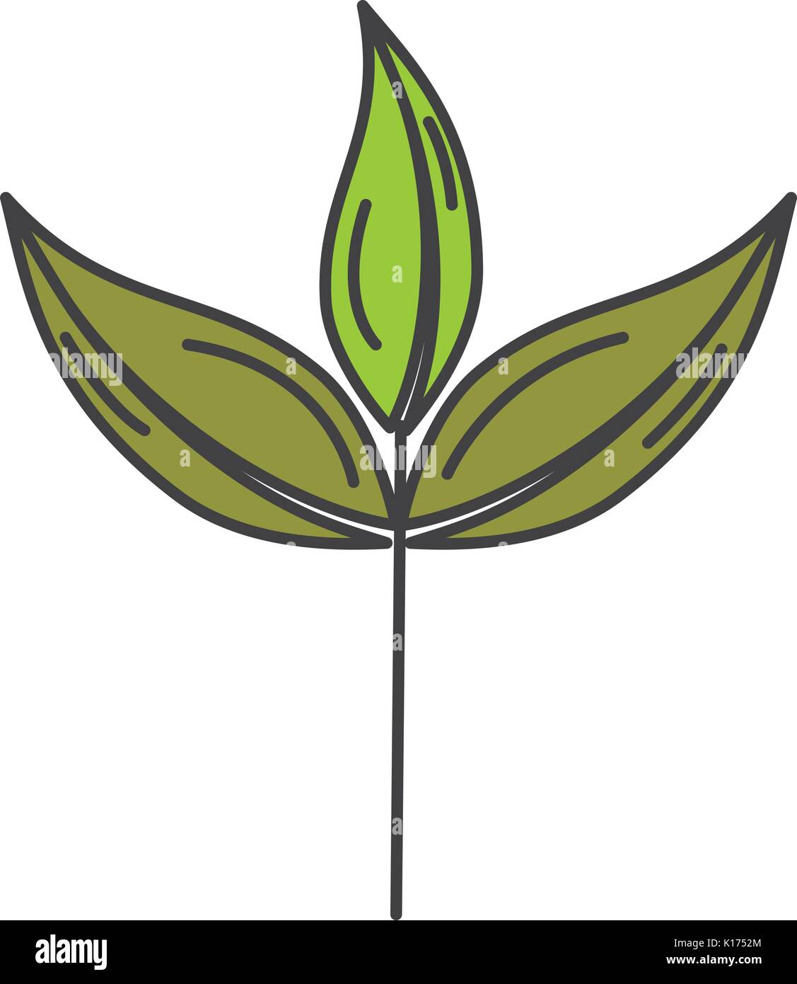 leaf plant ecology icon Stock Vector Image & Art - Alamy