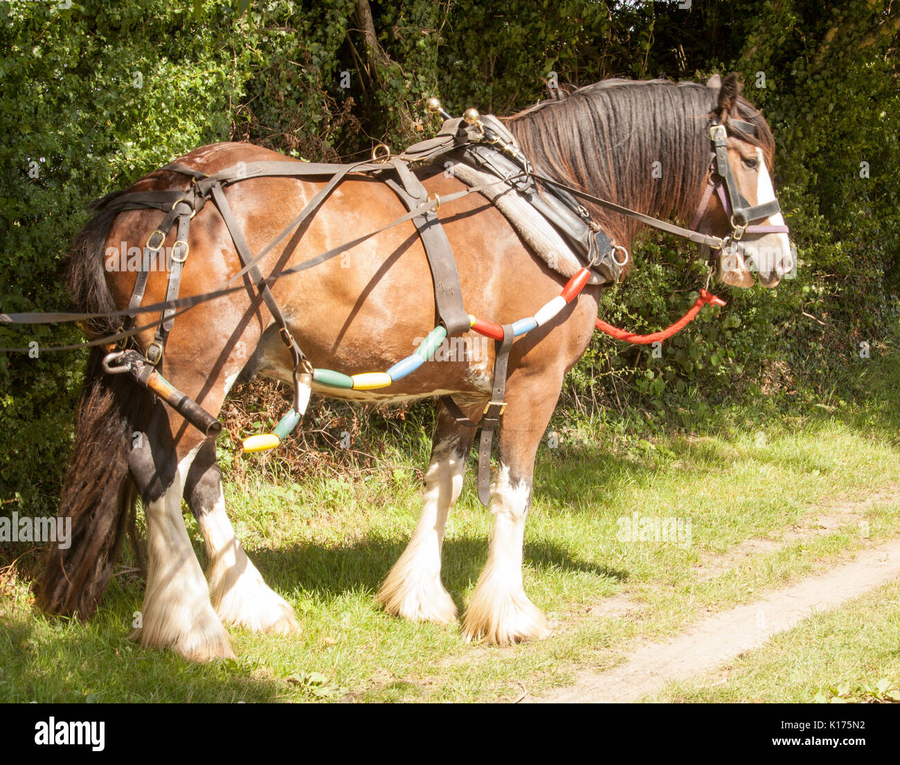 Horse pulling boat hires stock photography and images Alamy