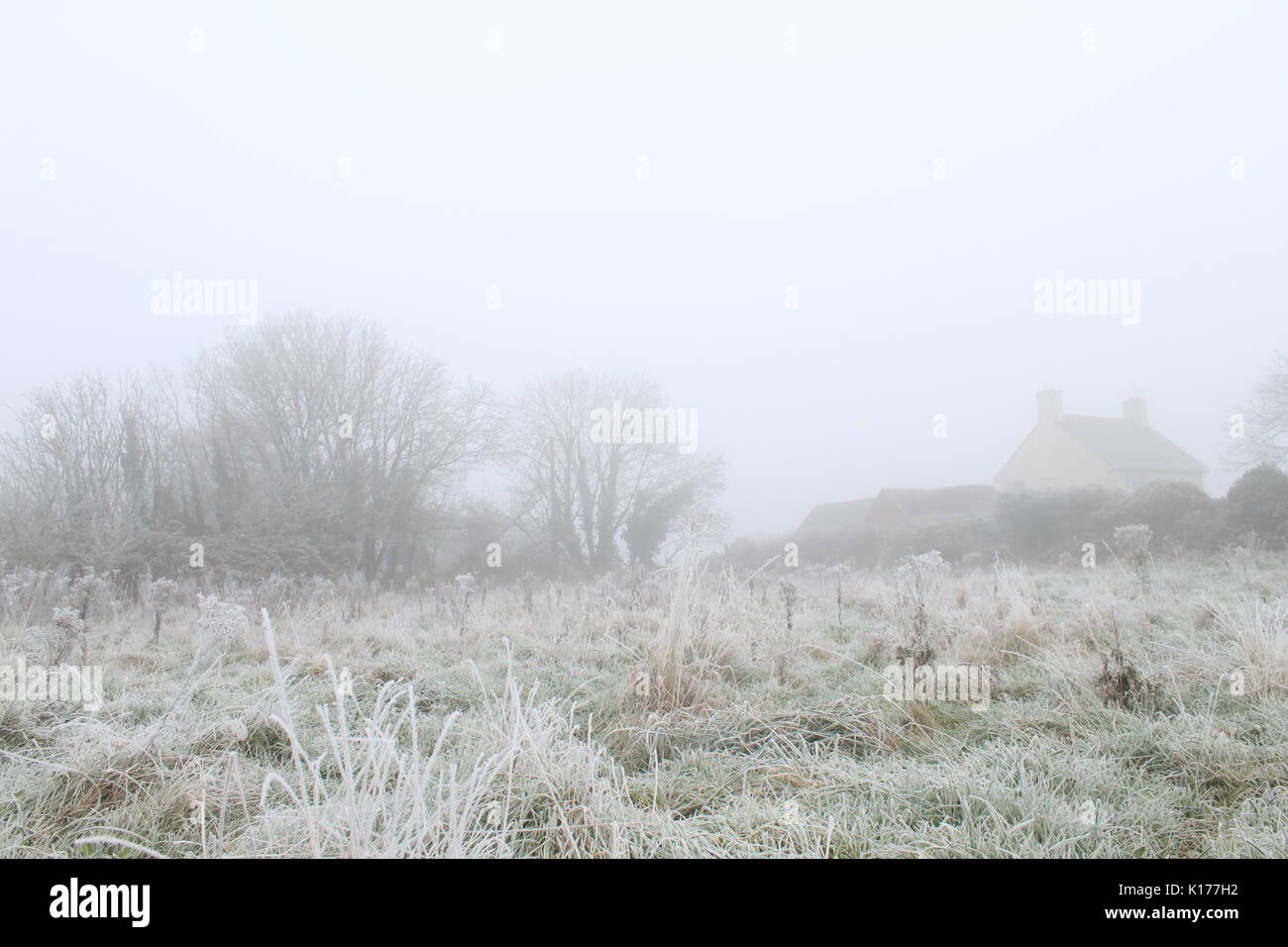 Fog background hi-res stock photography and images - Alamy
