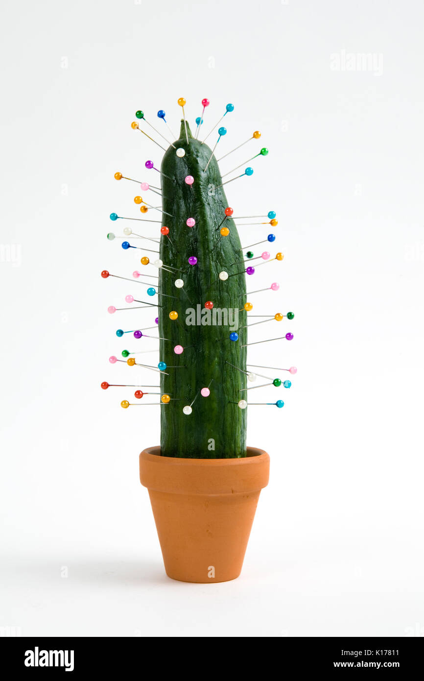 Cactus doll hi res stock photography and images Alamy