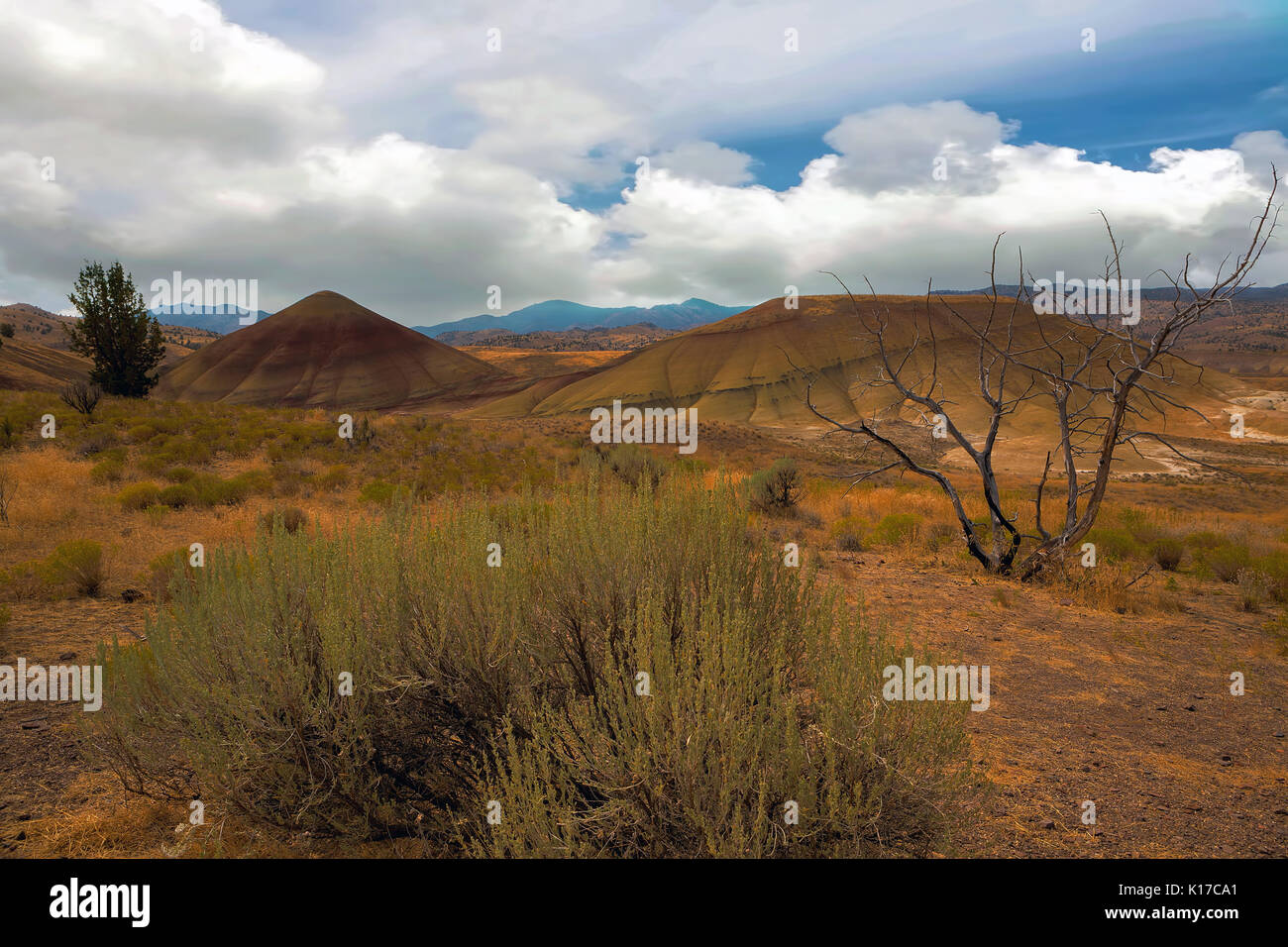 High sagebrush desert hires stock photography and images Alamy