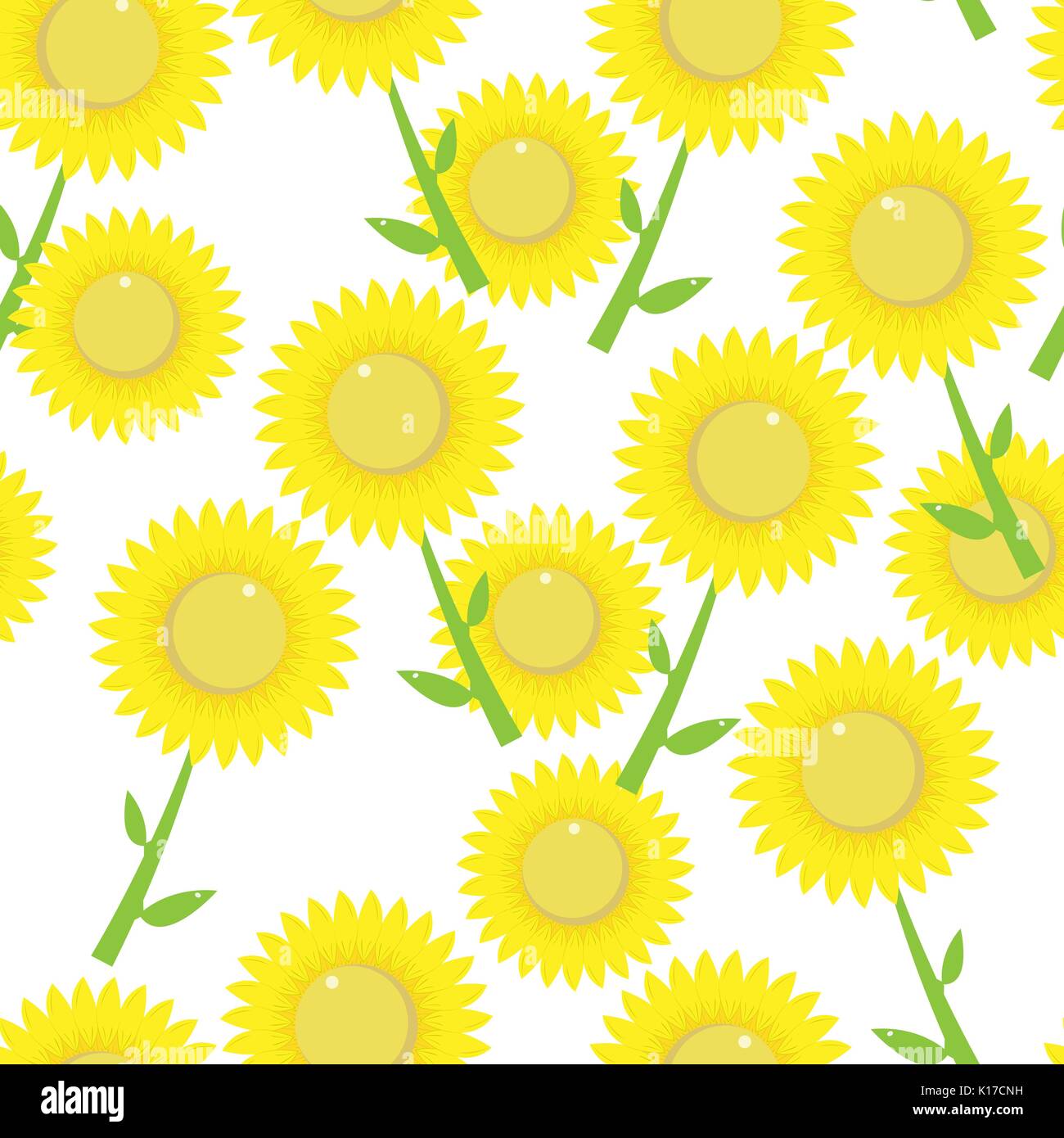Sunflower seamless pattern.Vector isolated Stock Vector Image & Art - Alamy