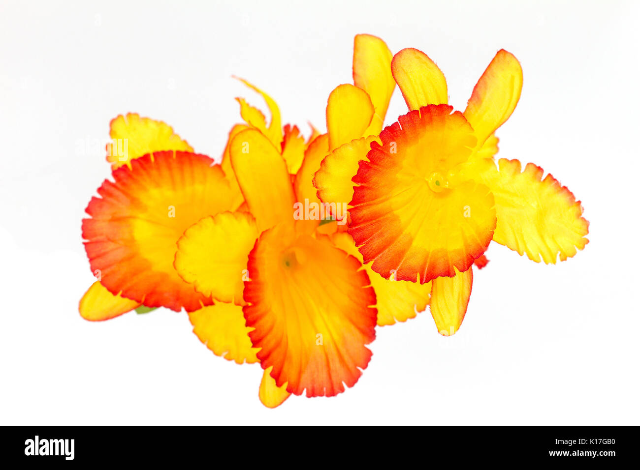 plastic flowers isolated on the white background Stock Photo Alamy