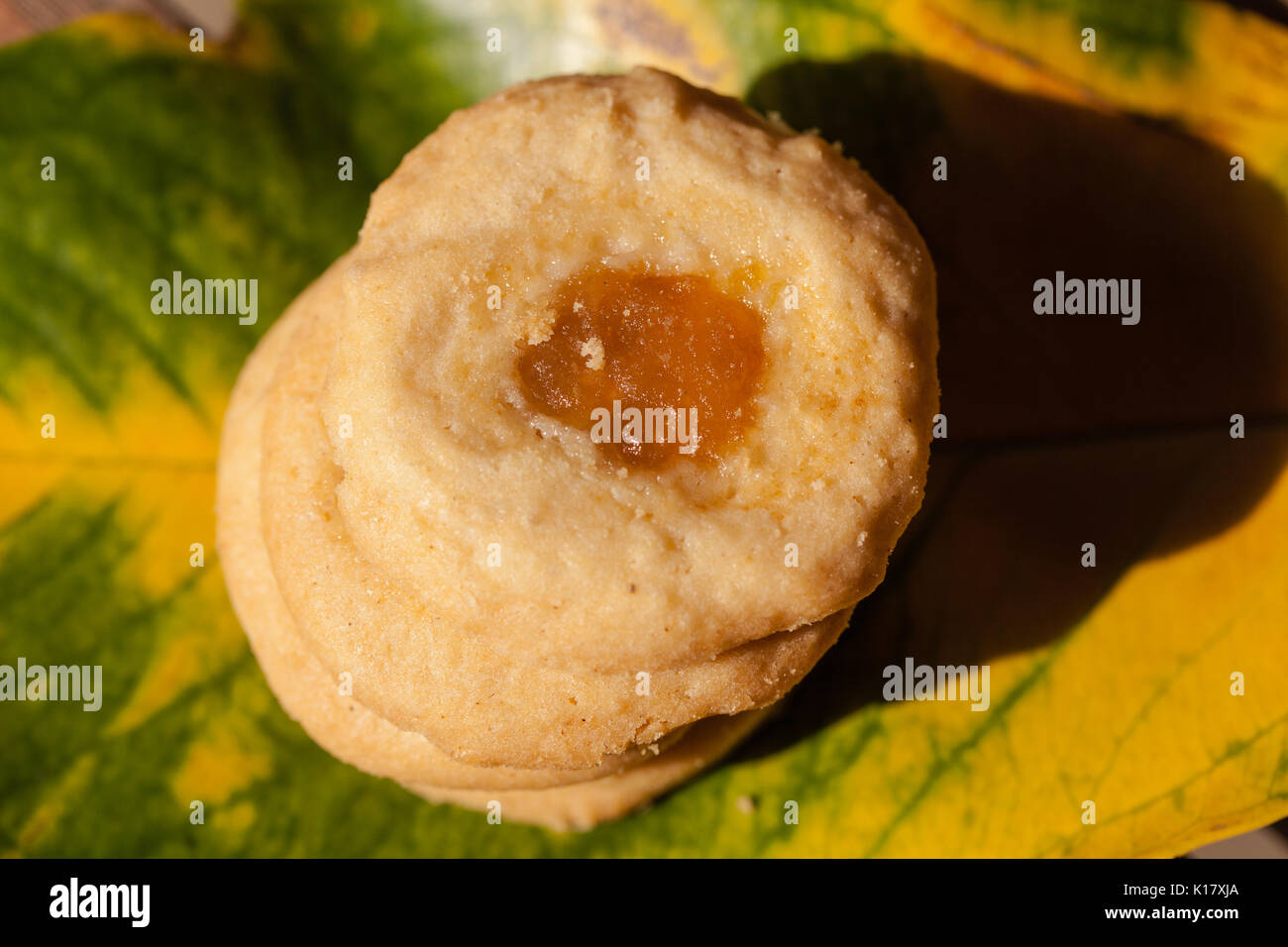 Homemade mixed fruit Jam cookie Stock Photo Alamy