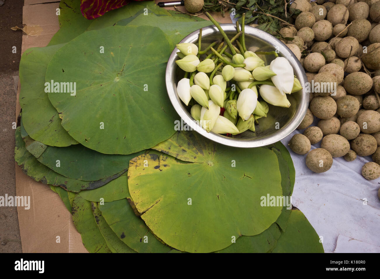HYDERABAD, INDIA - AUGUST 25,2017 Close-up of wood apple,lotus leaf and lotus buds for sale at a marketplace on Ganesh Chaturthi festival in Hyderabad Stock Photo