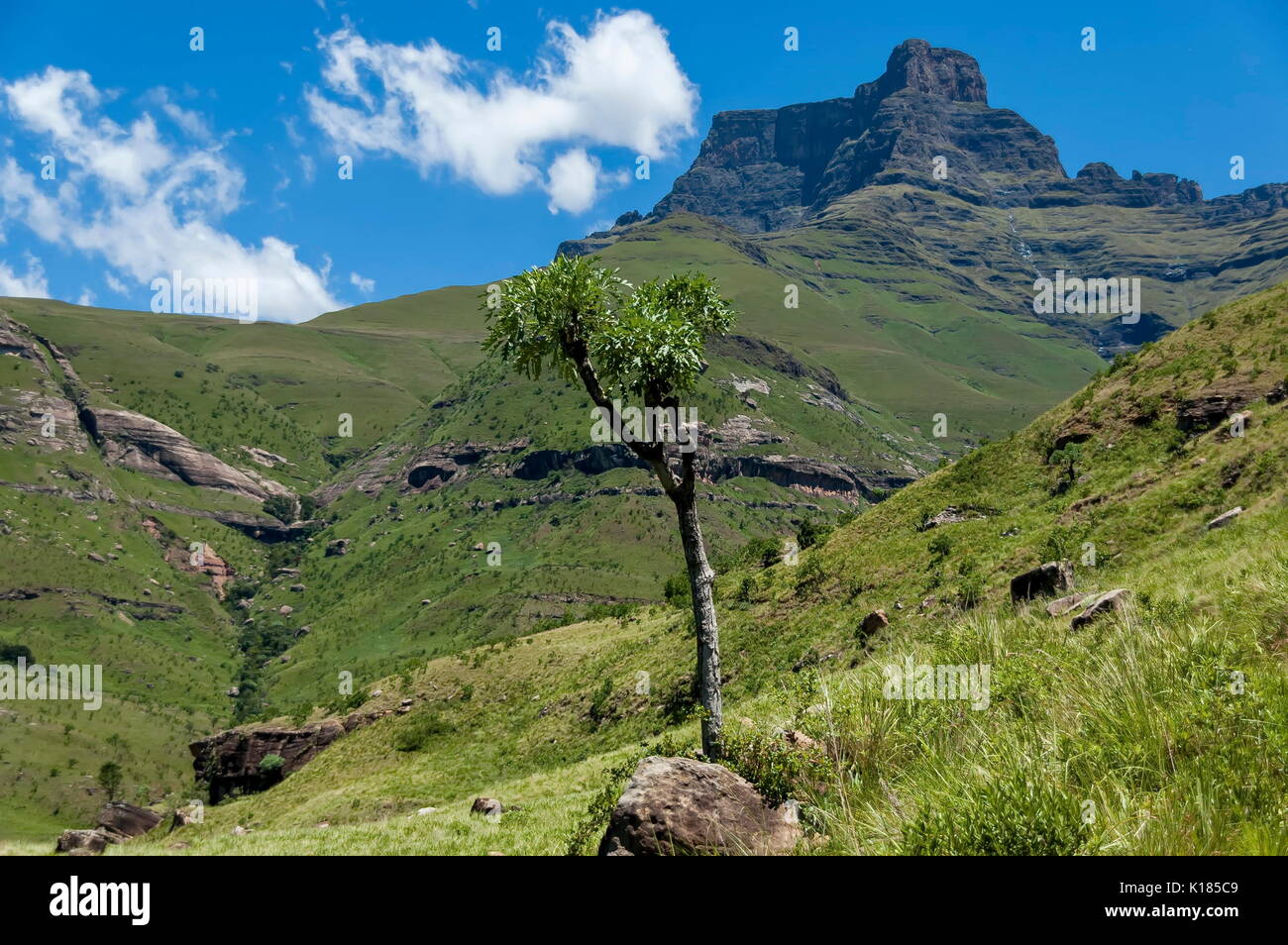 View in the drakensberg mountains hi-res stock photography and images -  Page 3 - Alamy