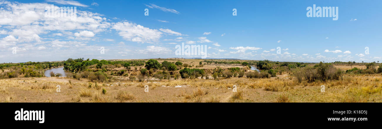 Panoramic view of a bend in the River Mara by Entim Camp, with herds of zebra and wildebeest gathering waiting for a crossing, Masai Mara, Kenya Stock Photo