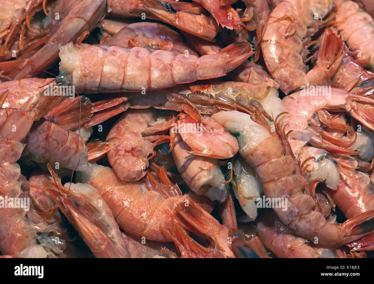 Large pile of freshly caught live shrimps Stock Photo