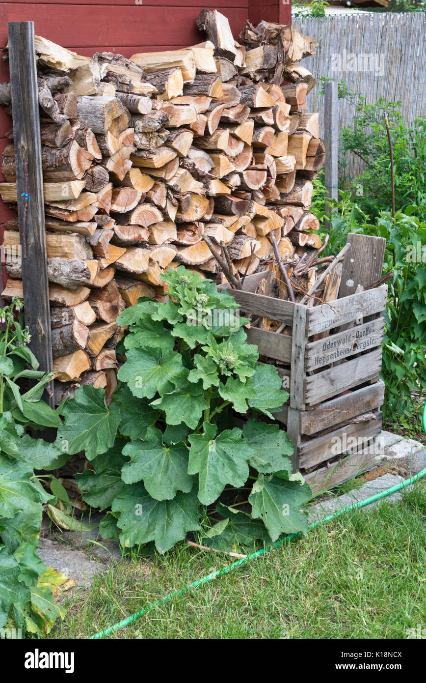Stack of wood in a natural garden Stock Photo Alamy