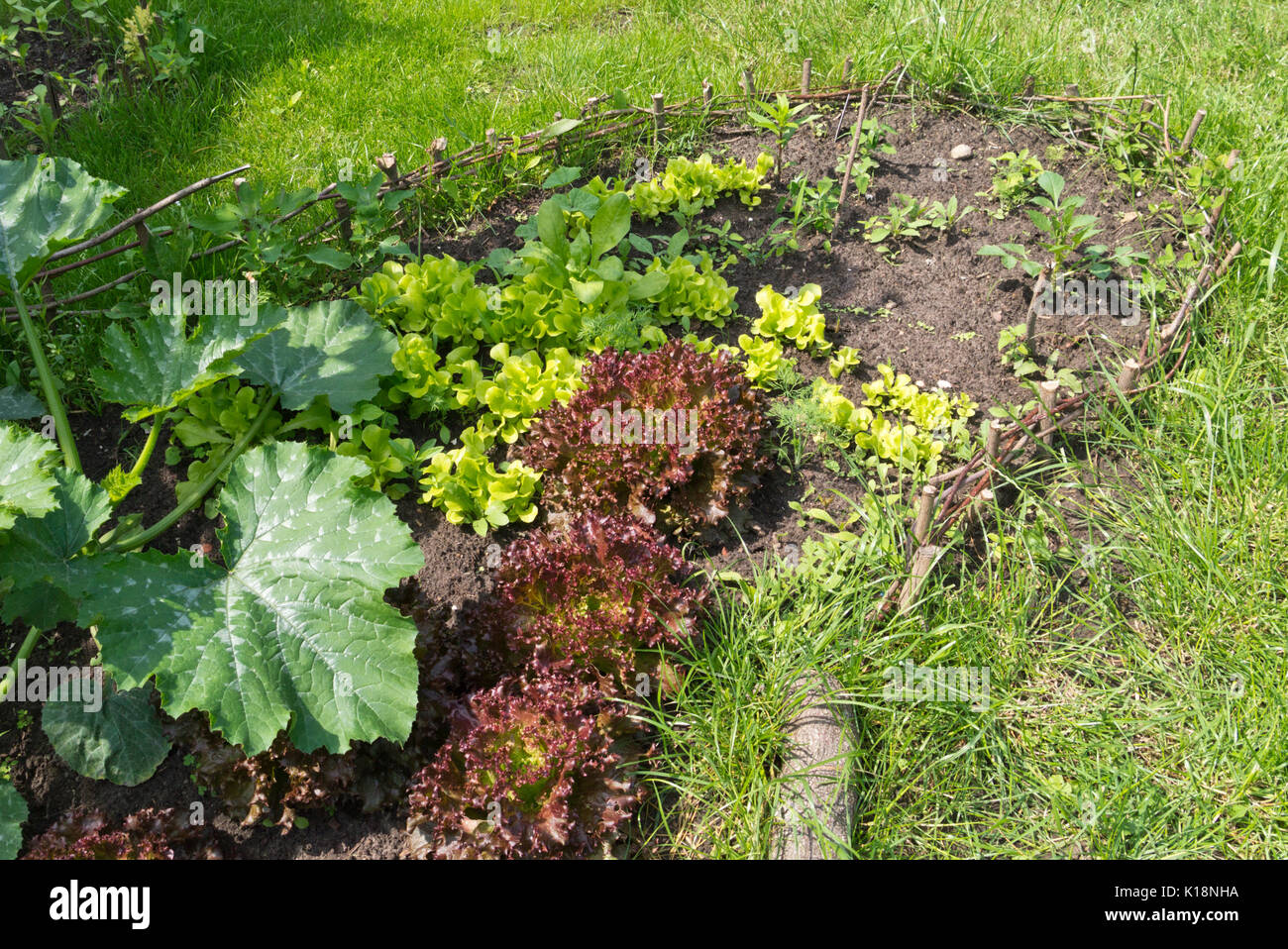 Vegetable bed with enclosure Stock Photo