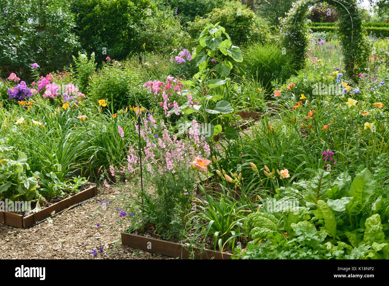 Day lilies (Hemerocallis) and phlox (Phlox) in propagation beds. Design:  Marianne and Detlef Lüdke Stock Photo - Alamy