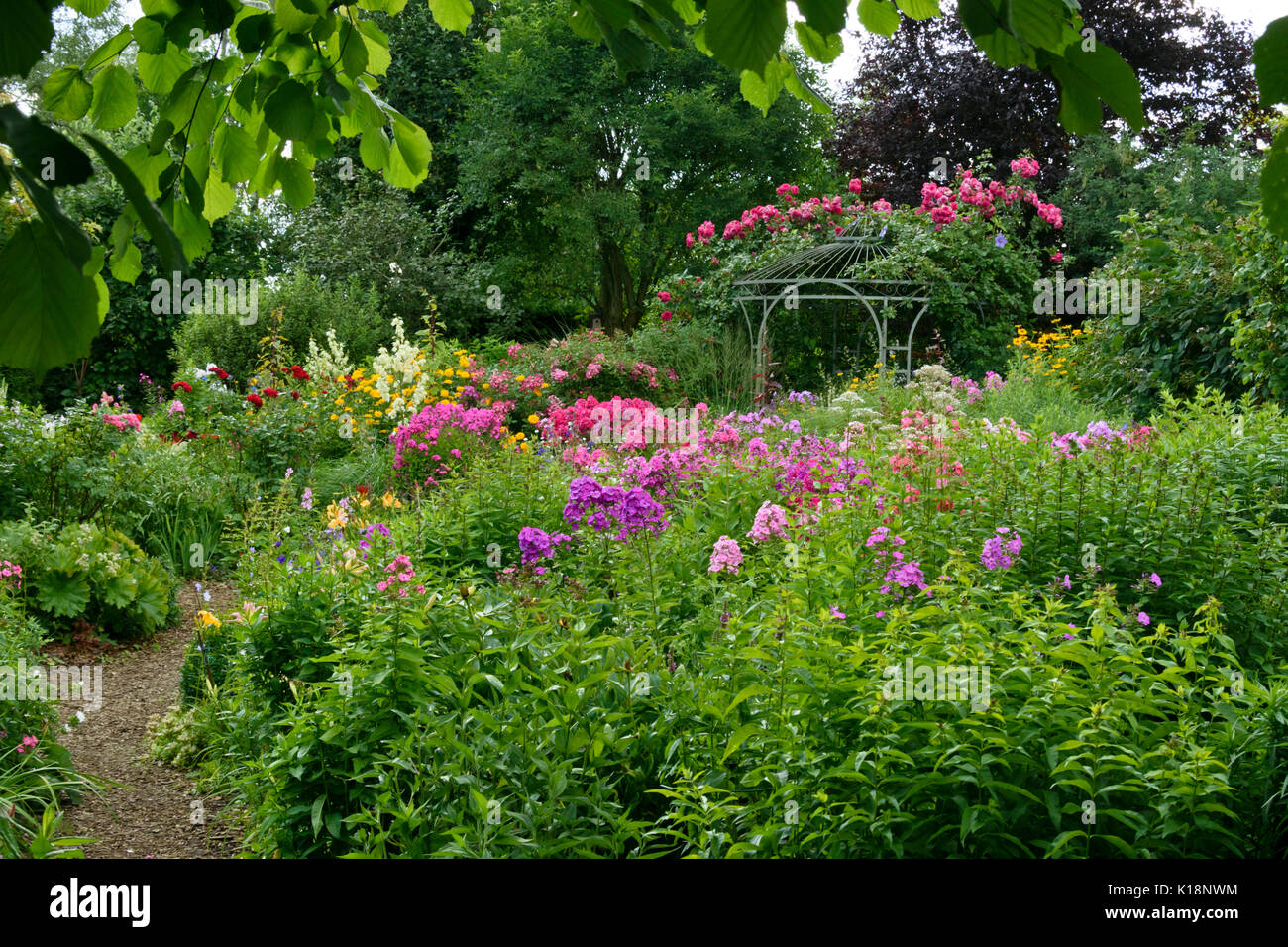 Garden phlox (Phlox paniculata) and roses (Rosa) in front of a garden pavilion. Design: Marianne and Detlef Lüdke Stock Photo