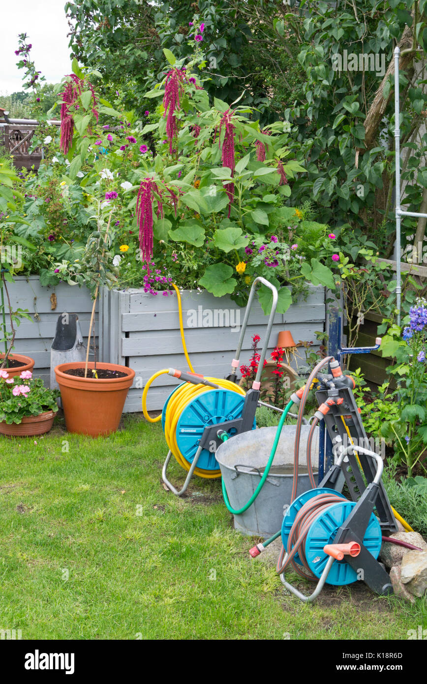 Hose trolleys and raised beds in an allotment garden Stock Photo Alamy