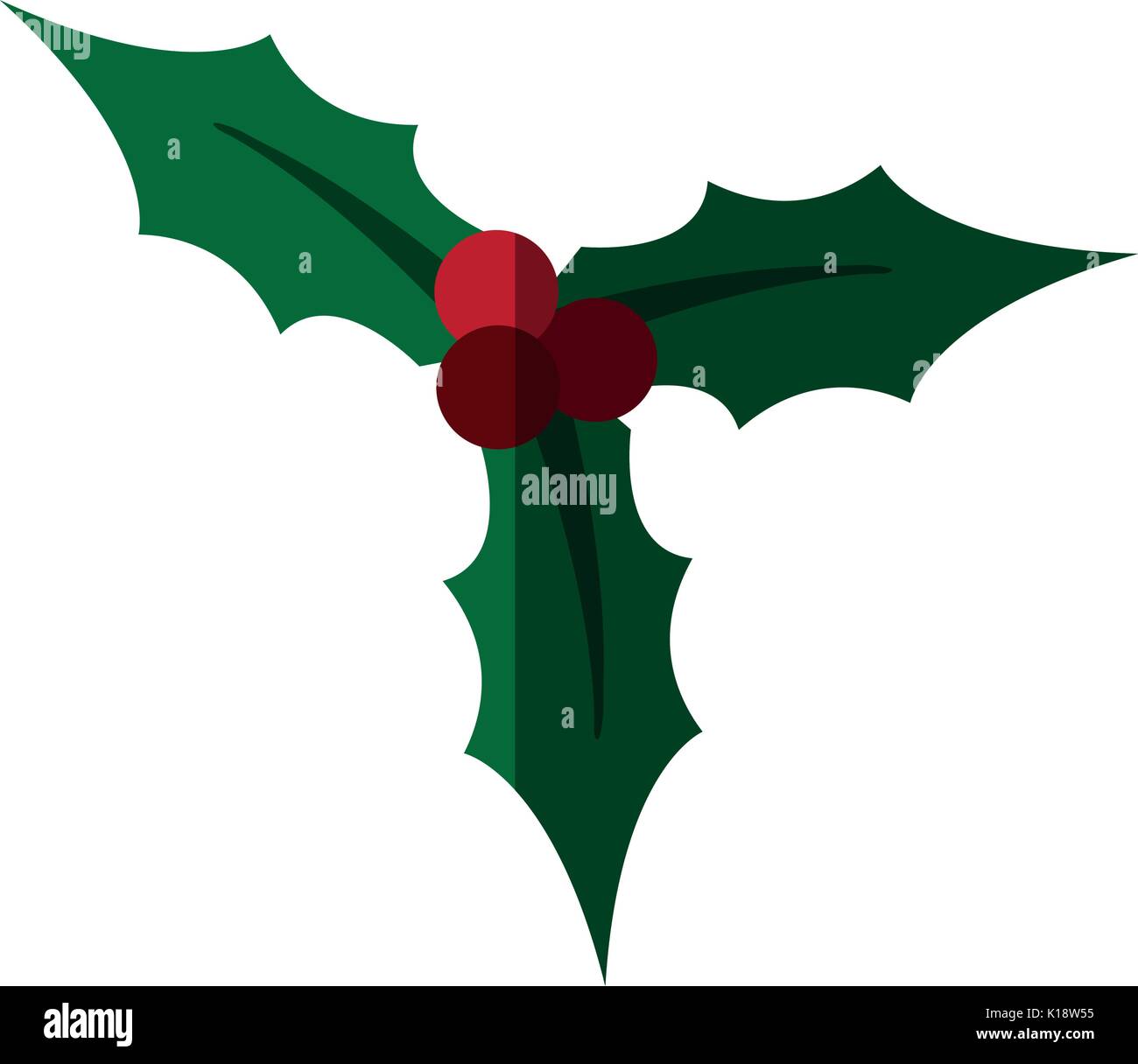 holly berries and leaves christmas related icon image vector ...