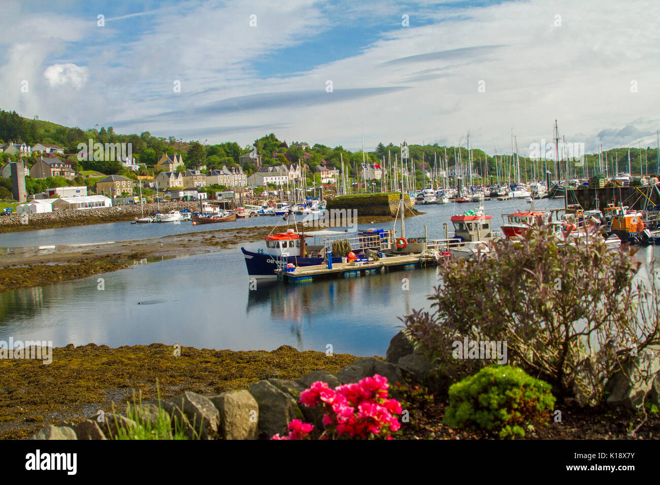 Scottish village of Tarbert with colourful buildings at foot of wooded hills and boats in harbour on Loch Tarbert under blue sky, Scotland Stock Photo