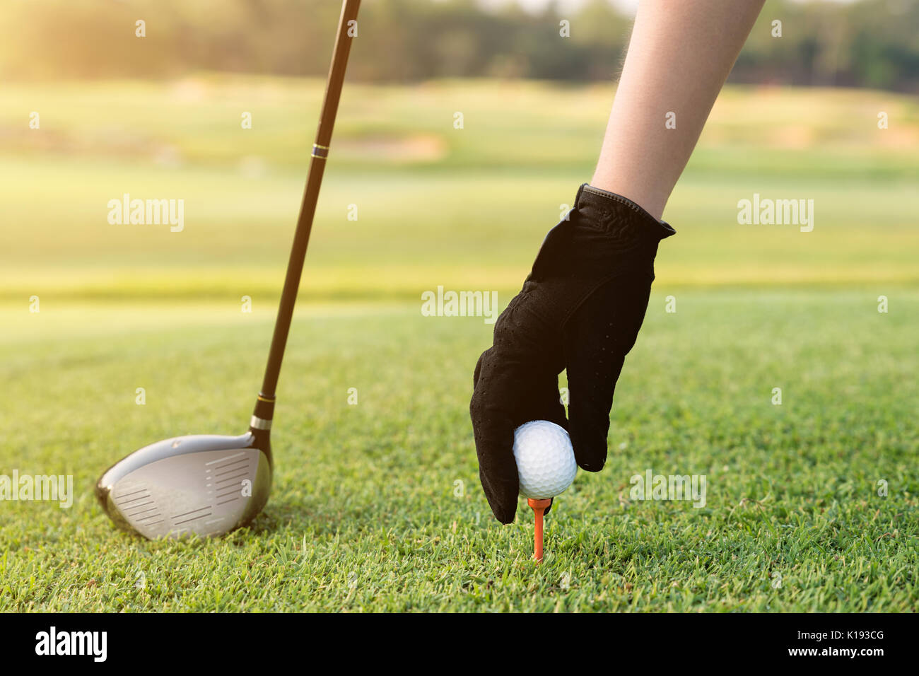 Hand placing a tee with golf ball. Hand hold golf ball with tee on course, close-up Stock Photo