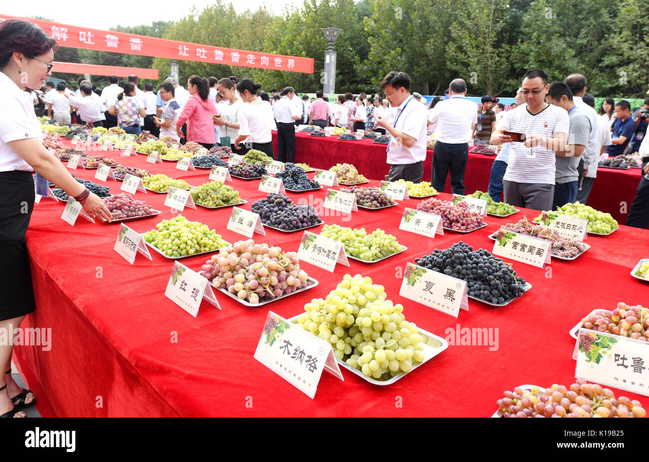 (170826) -- TURPAN, Aug. 26, 2017 (Xinhua) -- Tourists attend the opening ceremony of the annual grape festival in Turpan, northwest China's Xinjiang Uygur Autonomous Region, Aug. 26, 2017. A total of 216 different kinds of grapes were shown at the festival. (Xinhua/Wang Fei) (zhs) Stock Photo