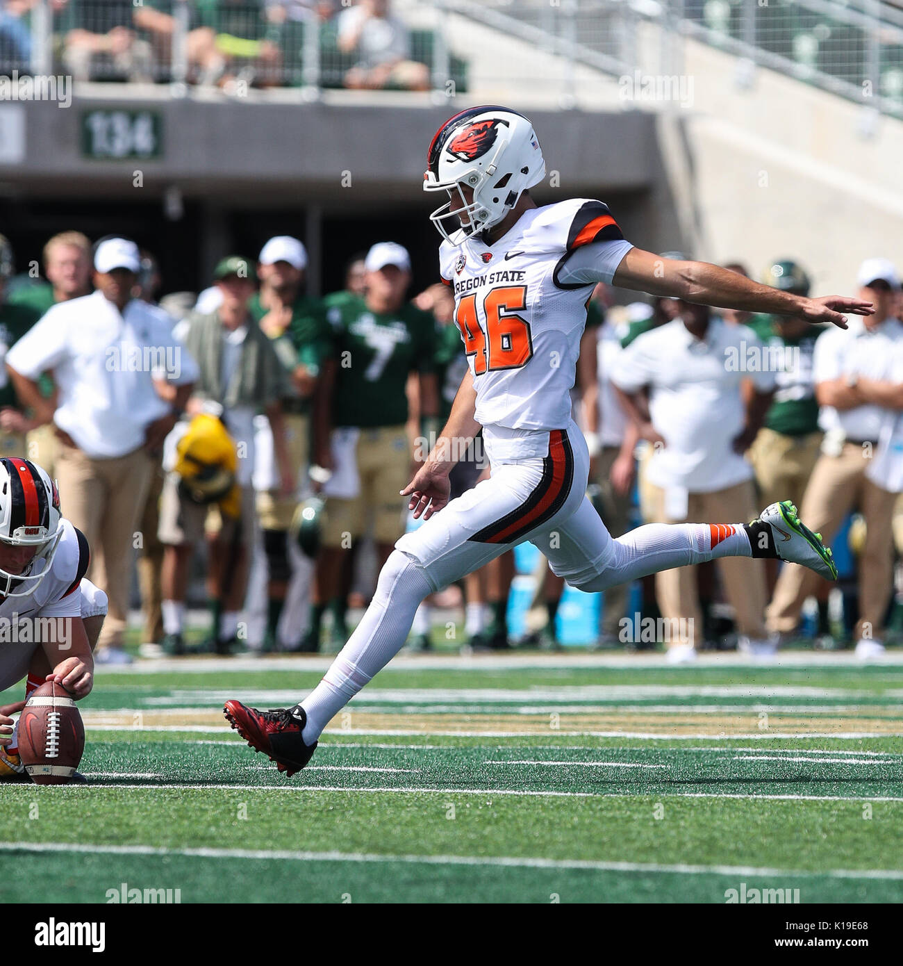 August 26, 2017: Oregon State kicker Jordan Choukair attempts a field goal against Colorado State in the second half. Stock Photo